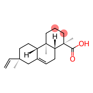 密码保护：异海松酸